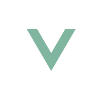 Velocity Smart Consulting